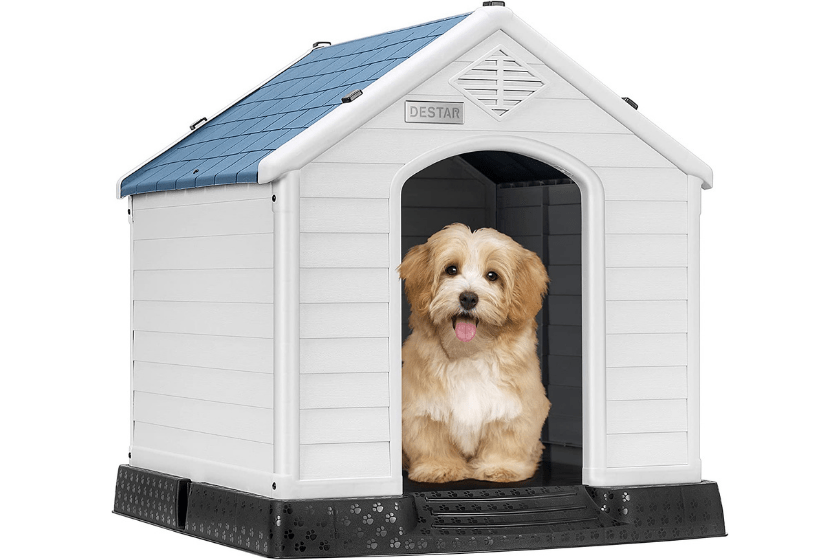 white and blue plastic dog house