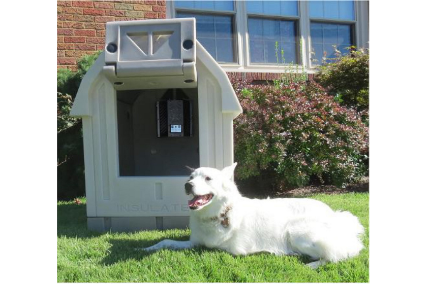 heated plastic dog house with white dog in grass