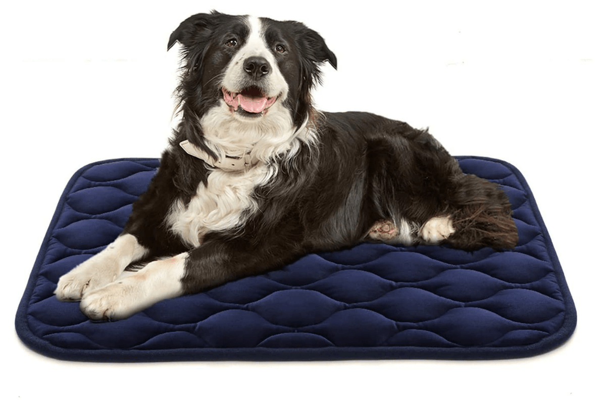 5 Most Comfortable Cushions for Dog Crates of 2022 for All Dogs