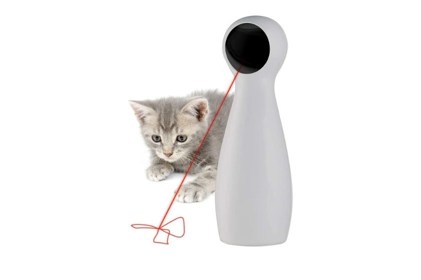 cat laser toy 