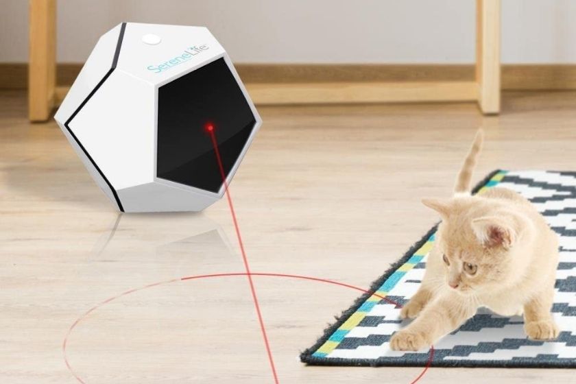 cat laser toy