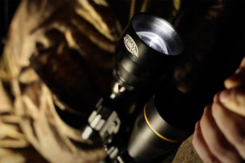 Night Hunting Lights The Best Colors and Styles for Hogs, Coyotes, and