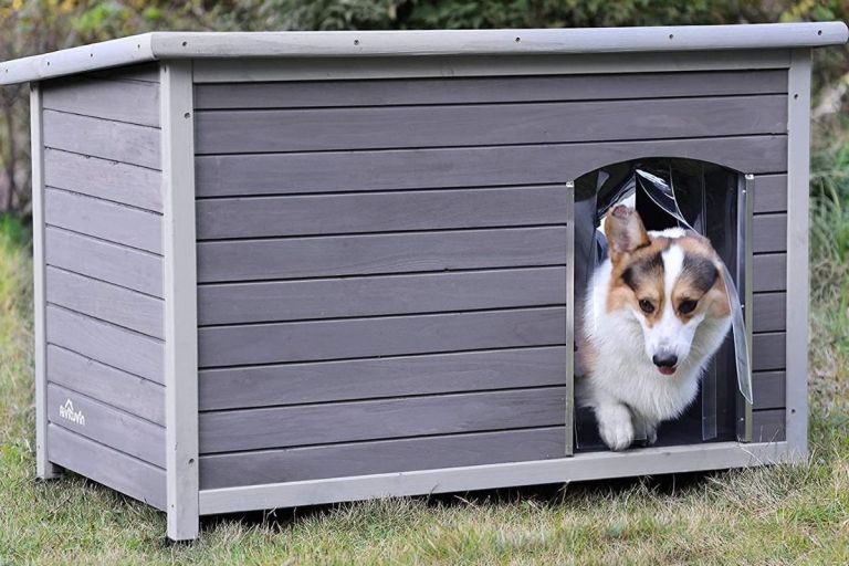 Heated Dog House Keep Fido Warm With The Top Houses of 2022