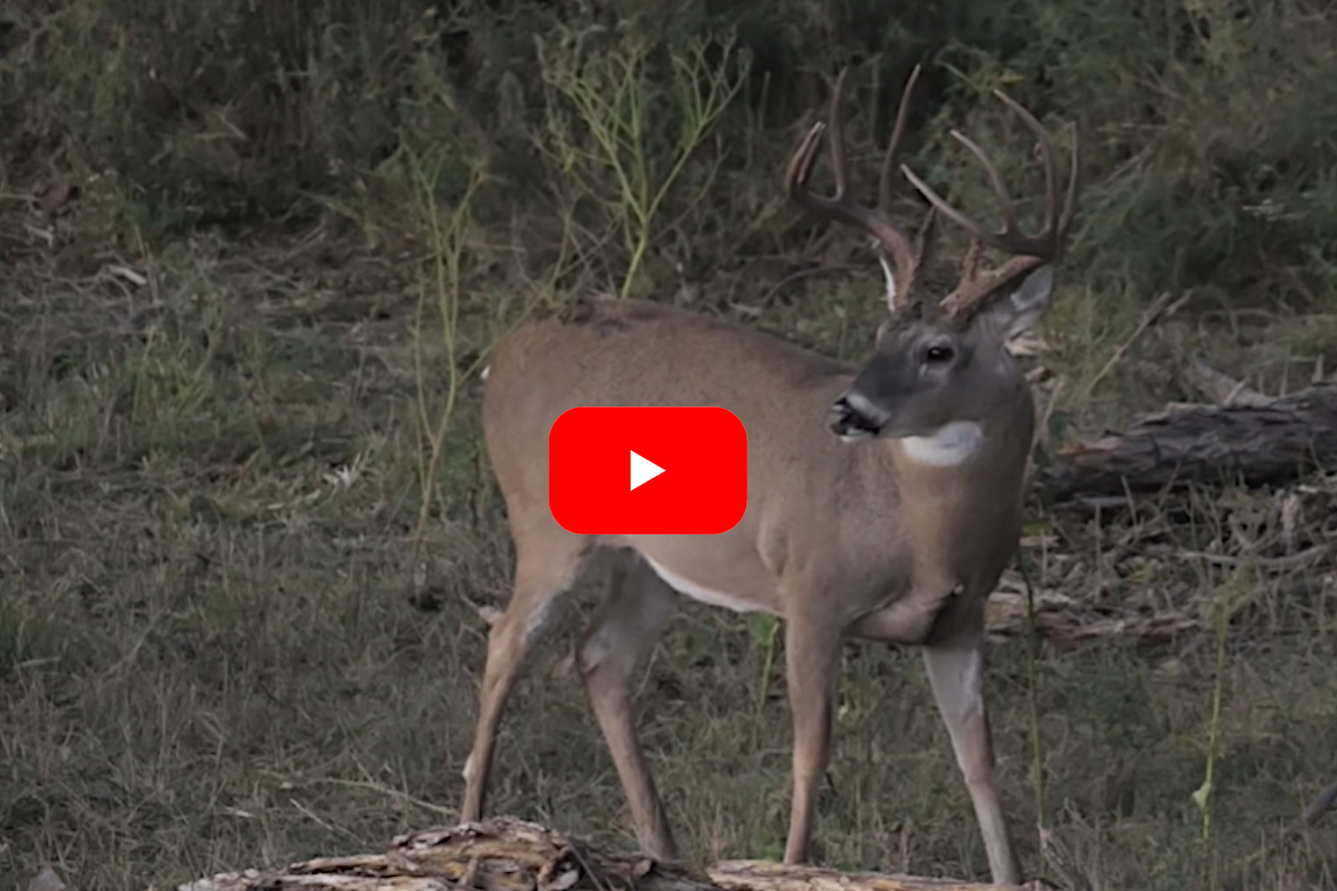 Oklahoma Muzzleloader Buck