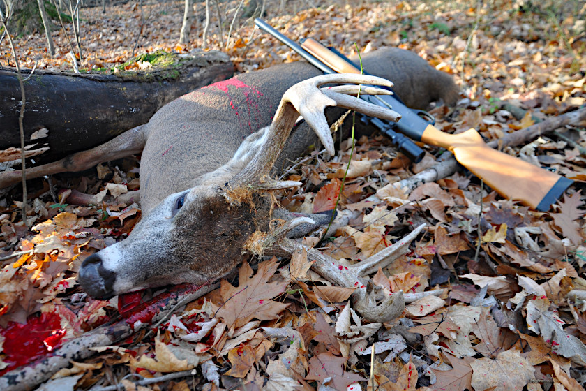 Shotguns for Hunting Deer