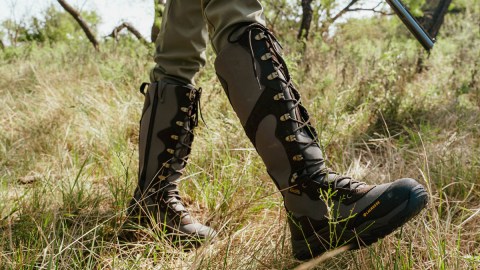 snake boots for women