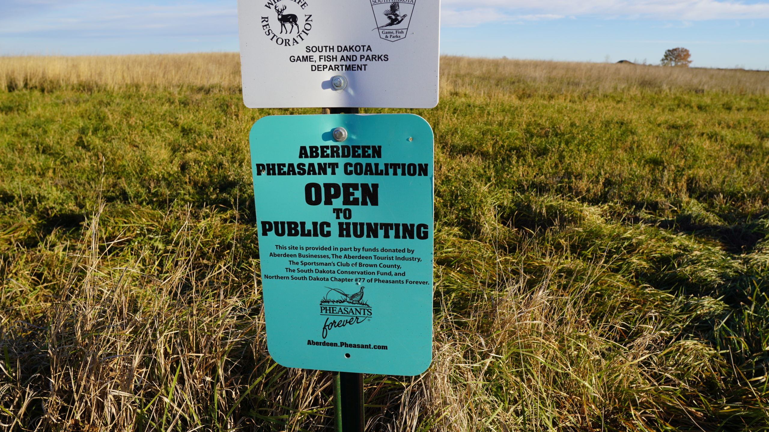 Pheasant Hunting South Dakota