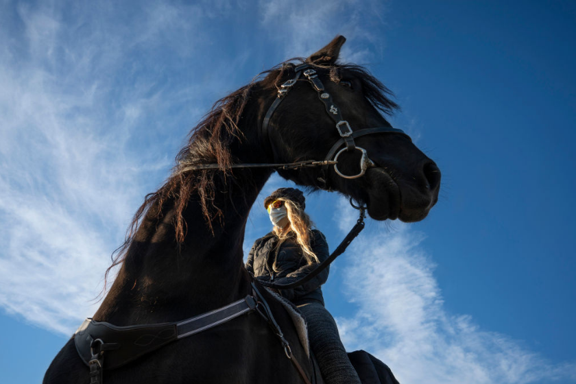 Liz Muse pauses while riding Hercules, a Dutch Friesian, in downtown Kennebunkport.