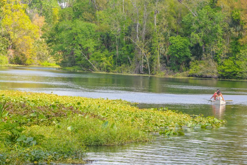 The Beautiful Wekiwa River slowly moving through Wekiwa Springs State Park in Opapka, Seminole County, Florida