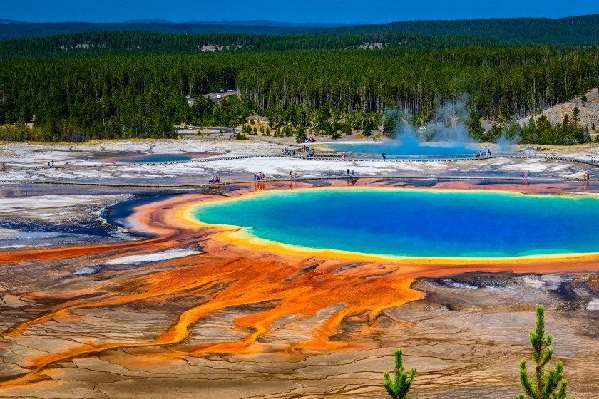 A section of the Grand Prismatic Spring taken from the "Overlook" in Yellowstone National Park shows the spring with its unreal bright palette of colors.
