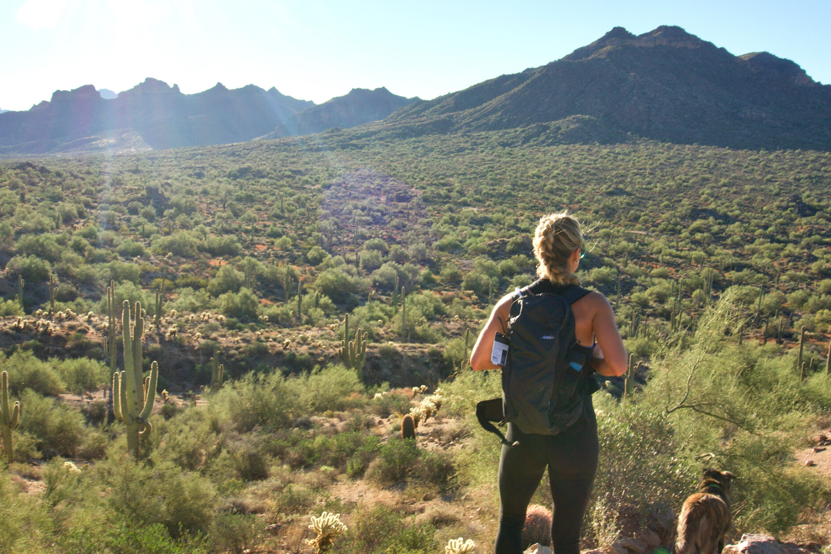 Matador Beast28 backpack FI