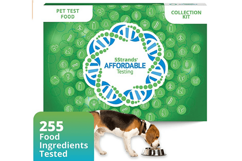 Pet Food Allergy Test