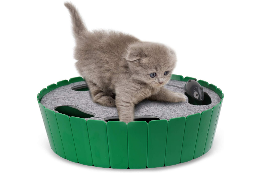 best cat toys for bored cats