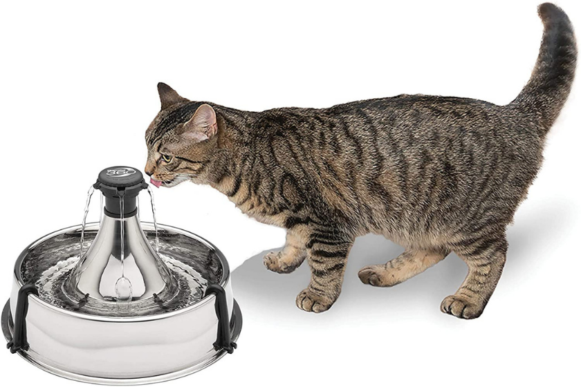 cat water fountains