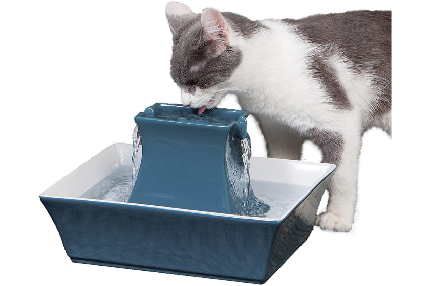 cat water fountains