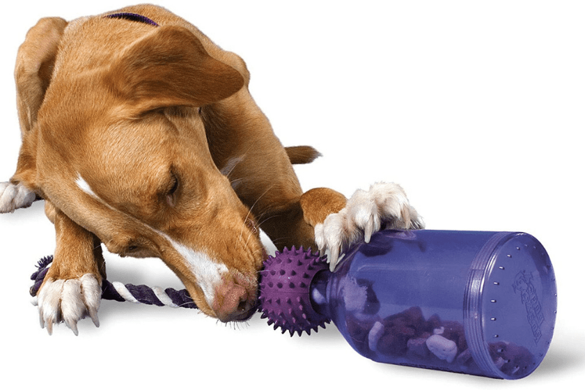 dog treat dispensing toys