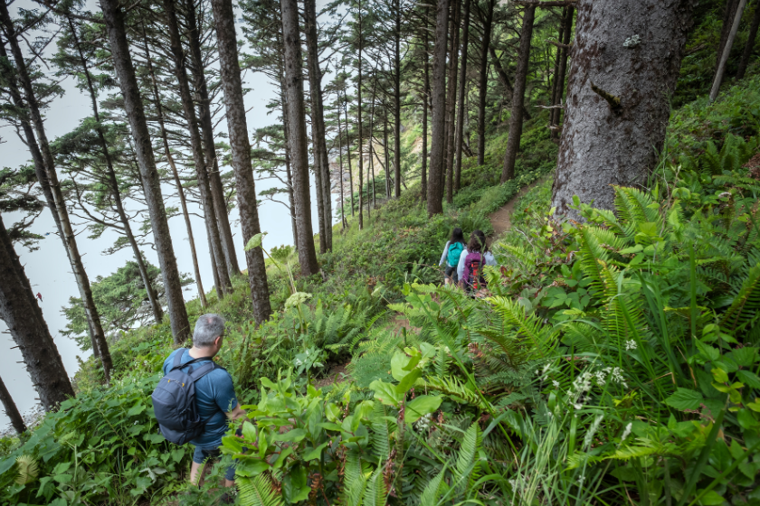 Father and daughter hiking along coastal bluff trail, Ecola State Park, Oregon, USA