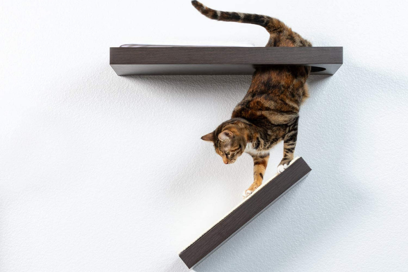 best cat scratchers