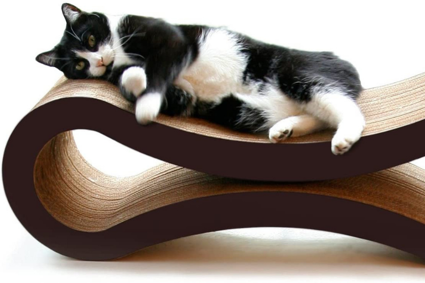 best cat scratchers