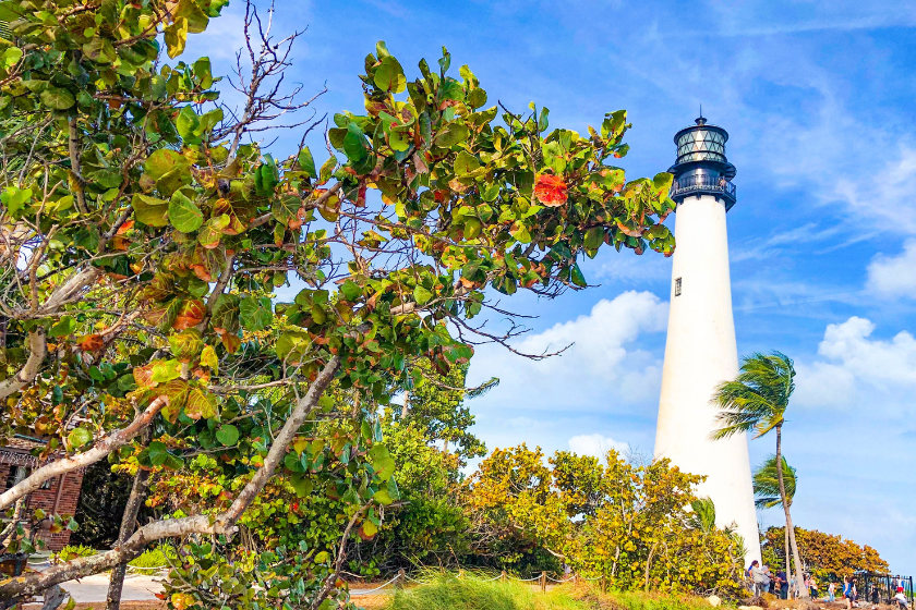 people gather at the foot of a tall white lighthouse with foliage in foreground