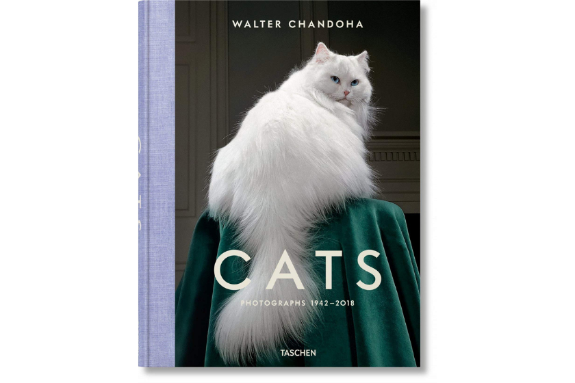 cat books