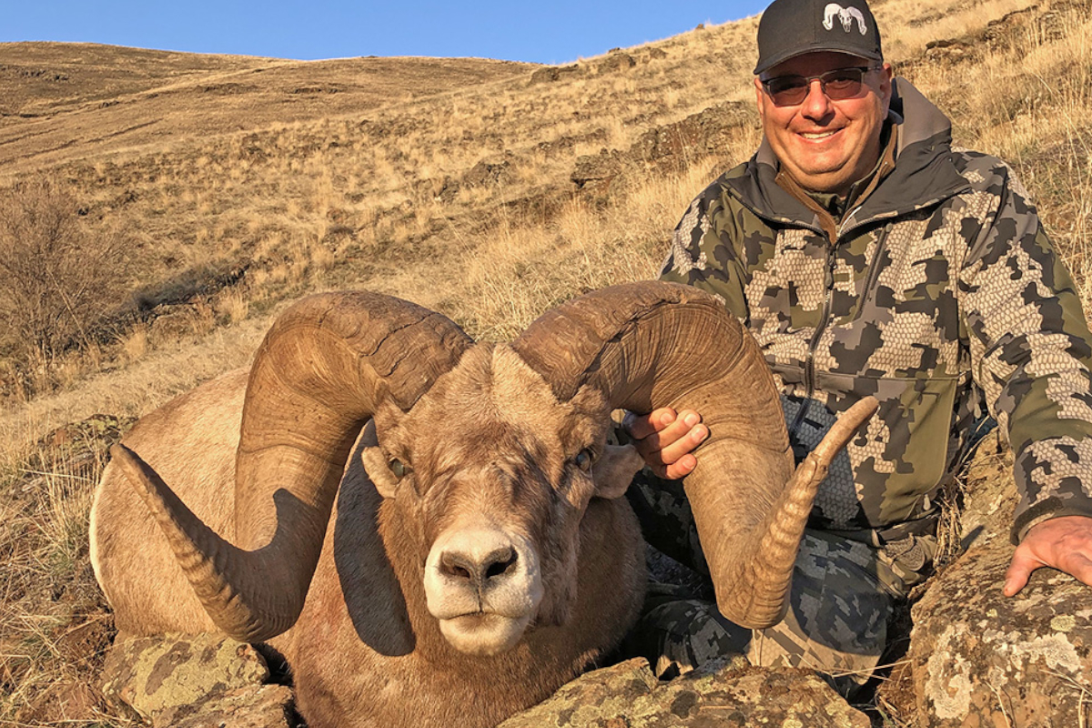 Bighorn Sheep Record