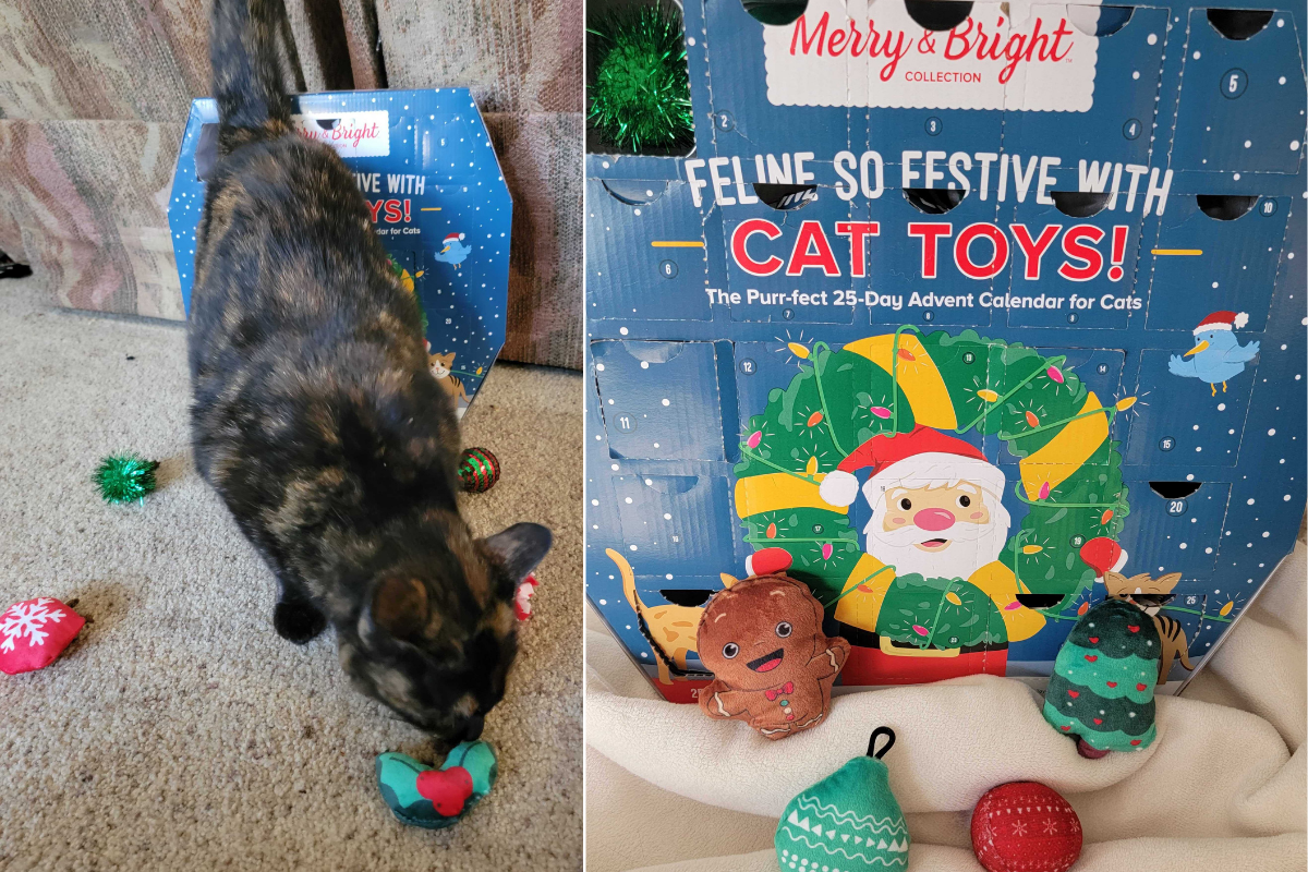 Merry Bright s Cat Toy Christmas Advent Calendar Is 25 Days Of Fun  merry-bright-s-cat-toy-christmas-advent-calendar-is-25-days-of-fun