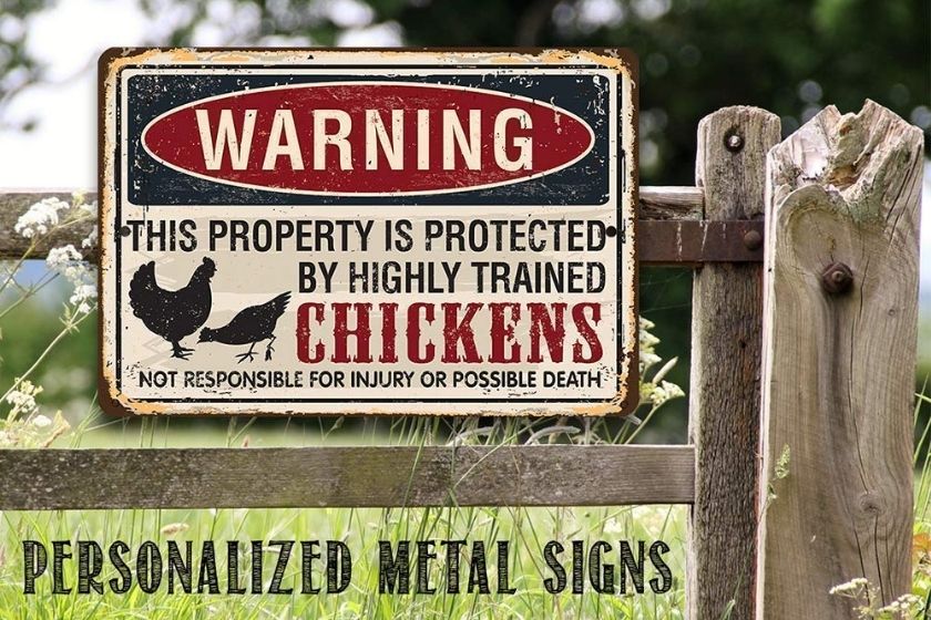 Funny Protected by Chickens Sign