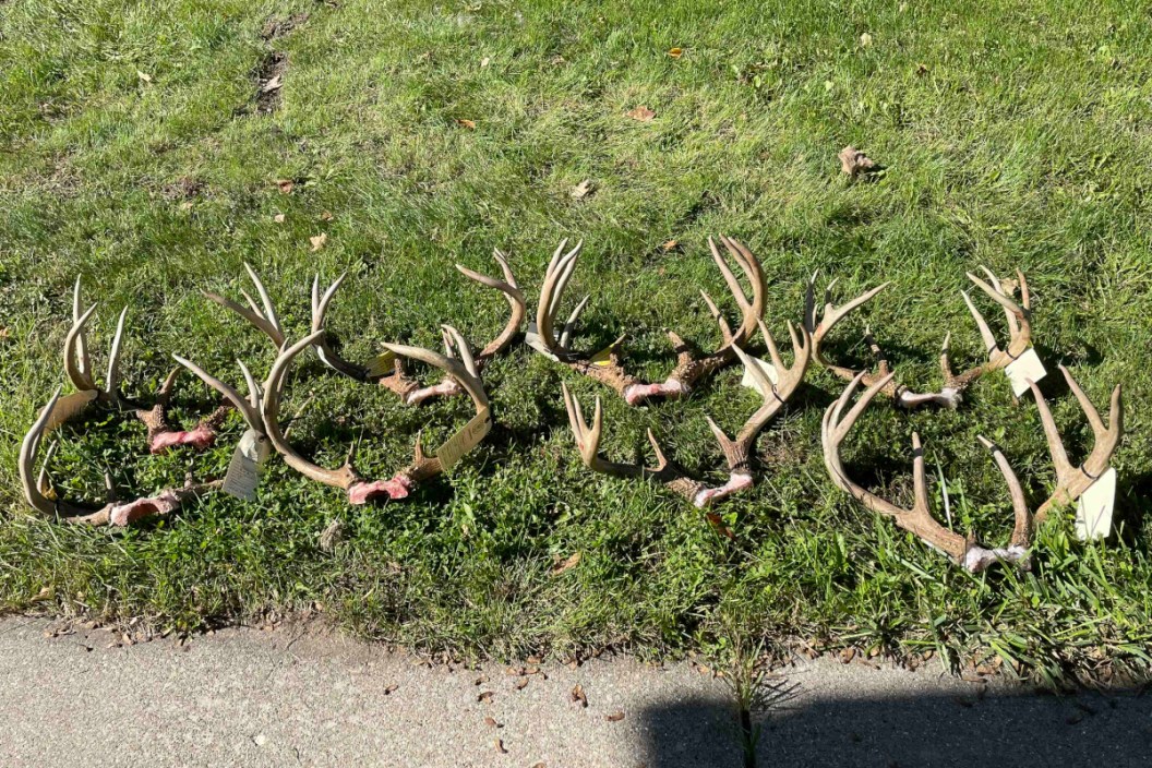 Deer Poacher Michigan