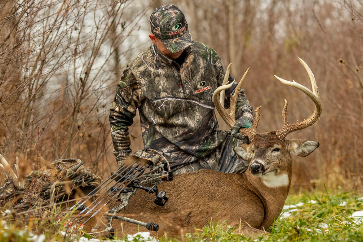 Deer Rut