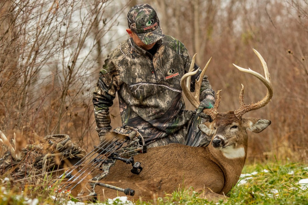 Deer Rut