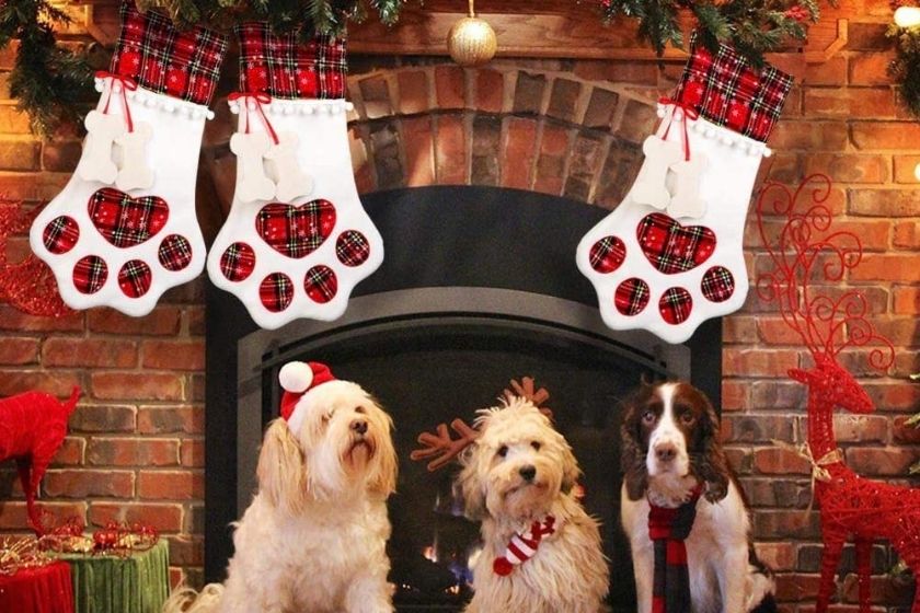christmas stockings for dogs