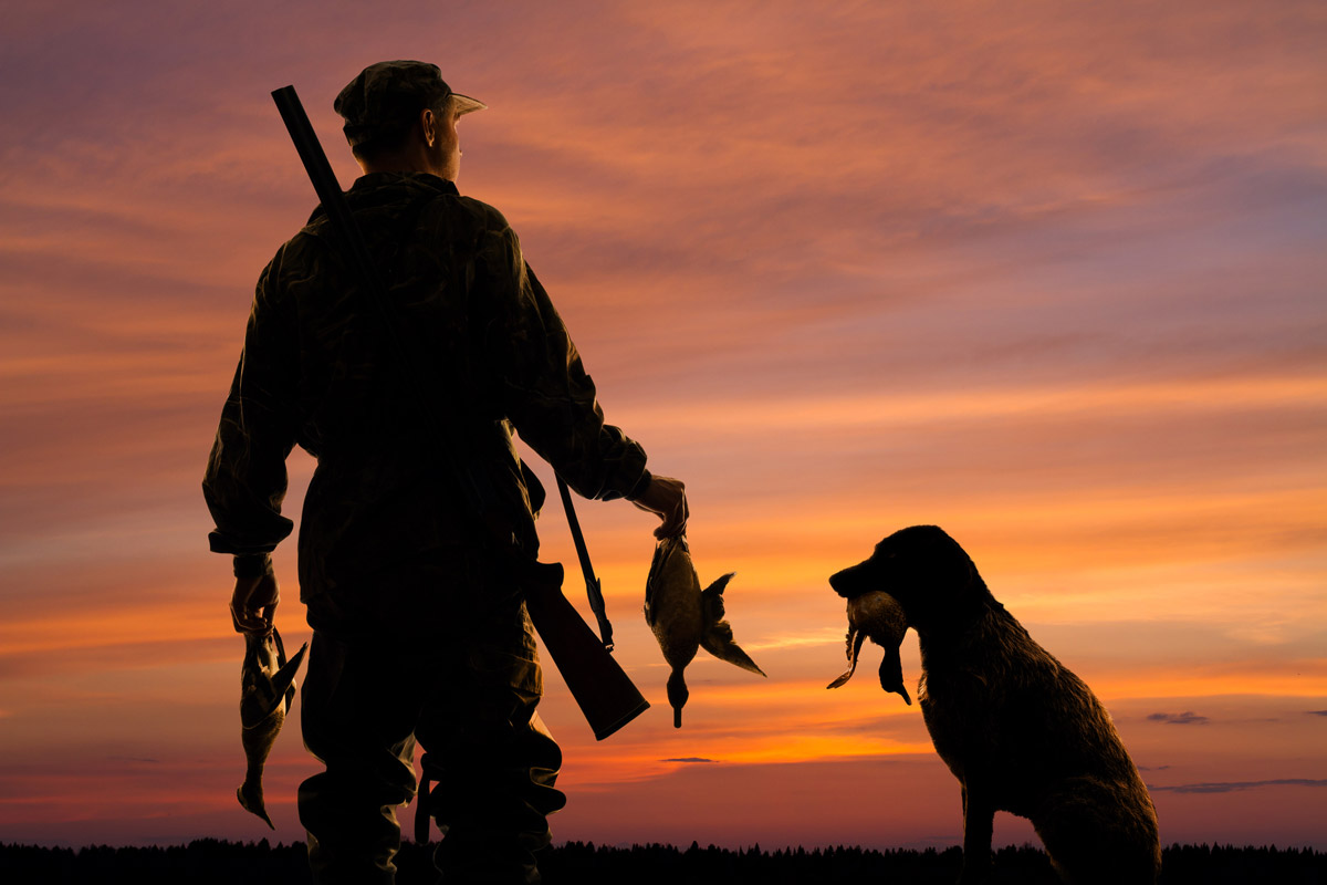 duck hunting