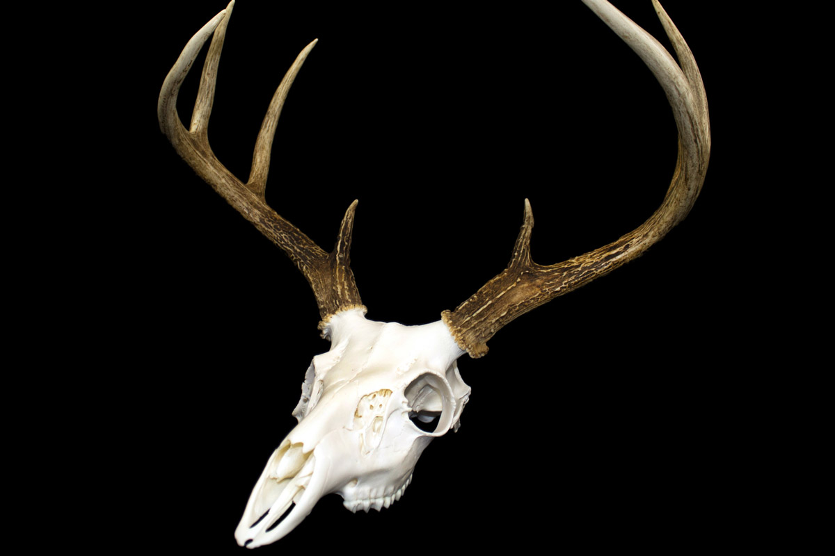 euro mount