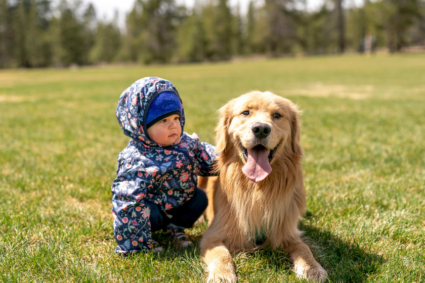 baby and golden retriever sit together