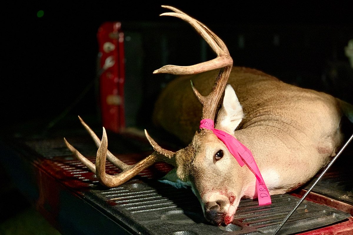 oklahoma whitetail