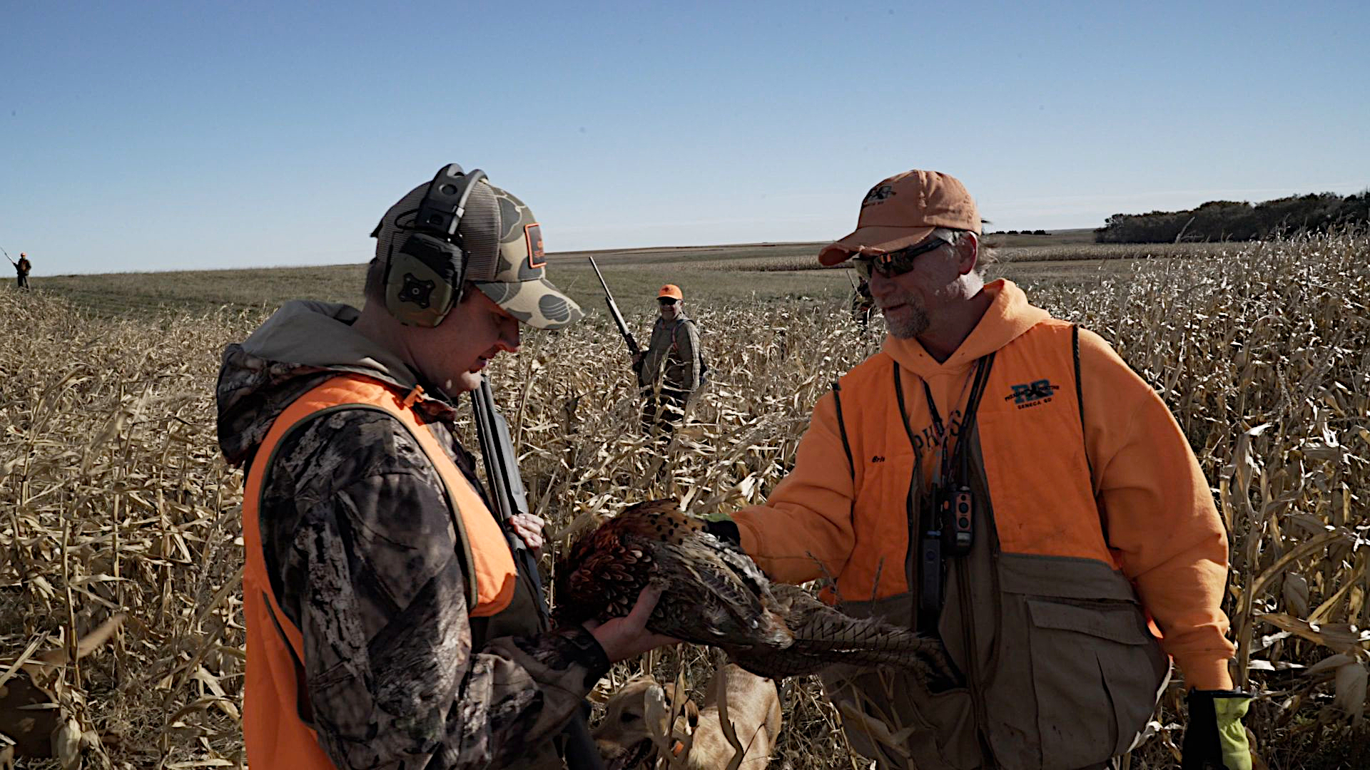 Pheasant Hunting South Dakota