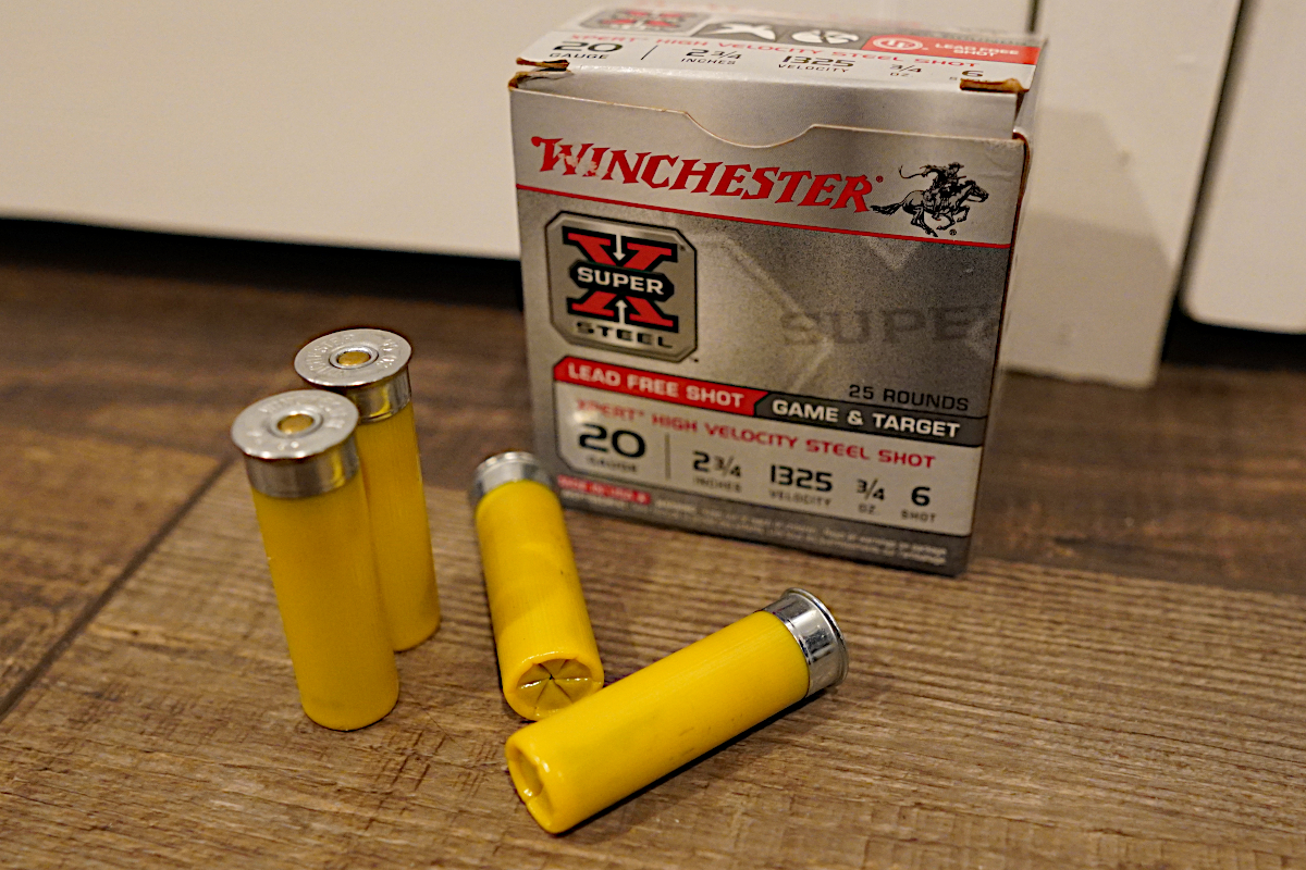 Steel Shot vs Lead Shot