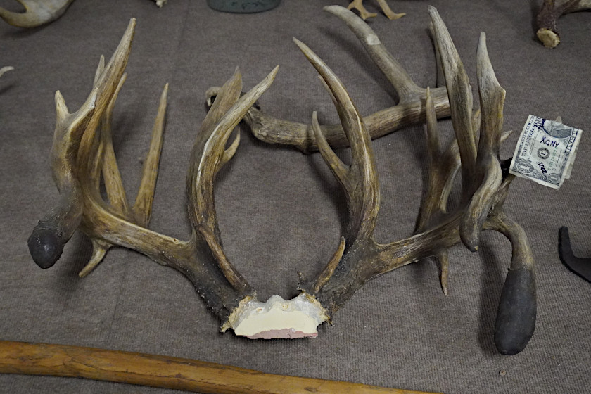 Value of a Monster Buck