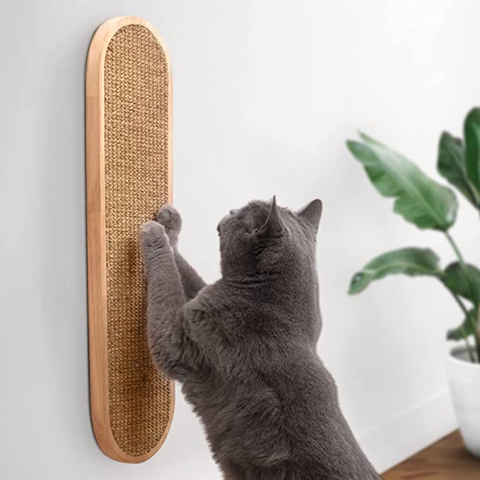 cat scratching post for wall