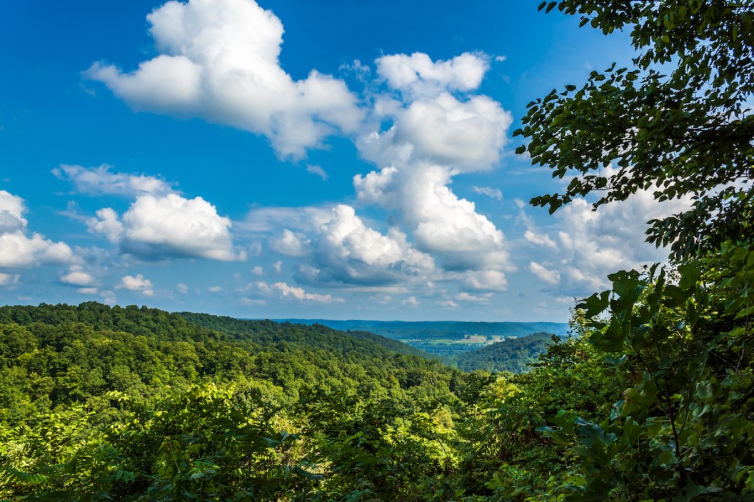 Best Ohio Public Hunting Land By Deer Density