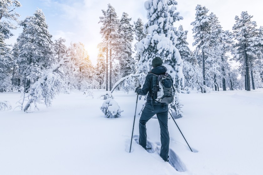 snowshoer