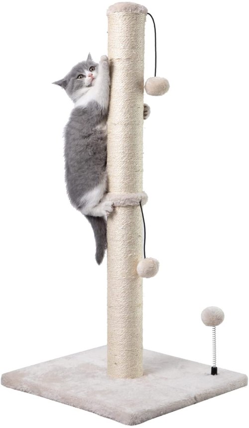 cat scratching post