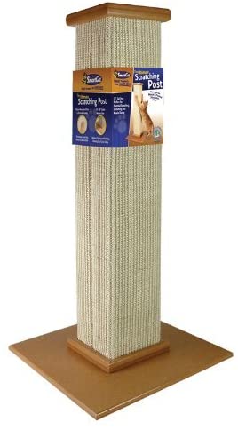 cat scratching post