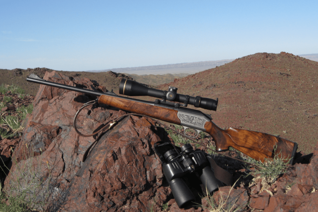 243 Winchester: Why It's The Best Caliber of All Time