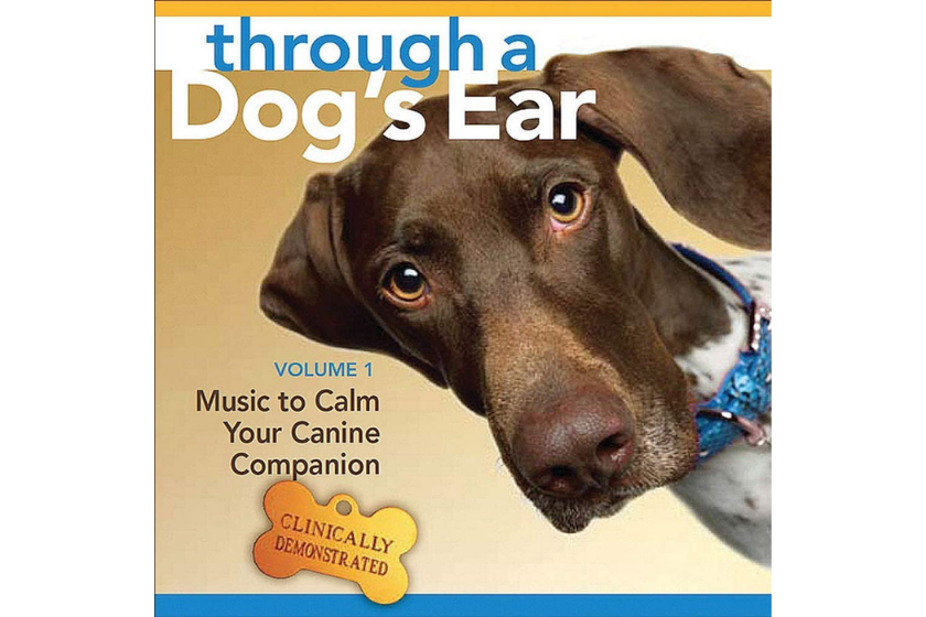 calming aids for pets