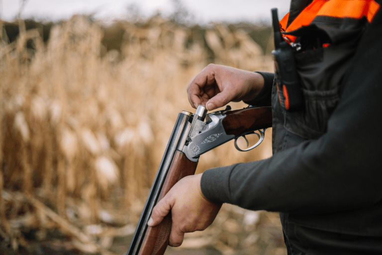 Best Shotgun Loads For Each Kind of Hunt
