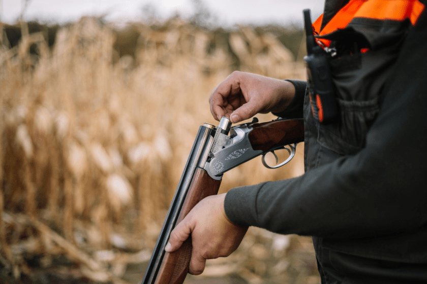 What's the Best Shotgun Load for Home Defense? Wide Open Spaces