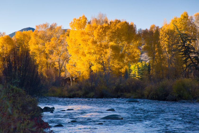 Best Colorado Trout Fishing