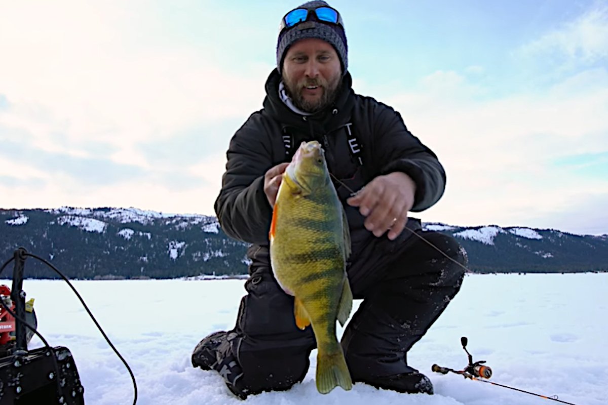 Ice Fishermen Land Multiple 2+ Pound Yellow Perch on Idaho's Cascade Lake -  Wide Open Spaces